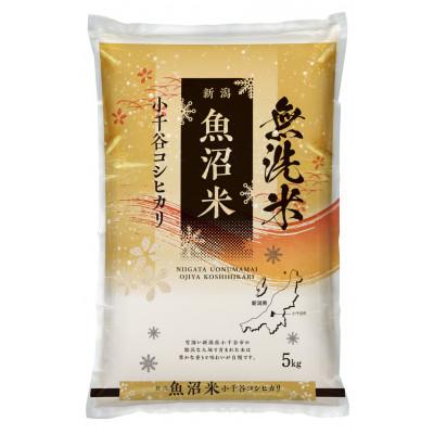 ふるさと納税 小千谷市 雪室貯蔵 魚沼産コシヒカリ 無洗米 5kg×2