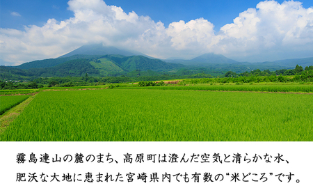 【令和7年産 新米】宮崎県高原町産 ひのひかり玄米 30kg TF00851-P00079