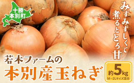 北海道産 玉ねぎ 約5kg サイズ混合 若木ファーム 送料無料  十勝 本別町産《11月上旬から3月下旬頃出荷》