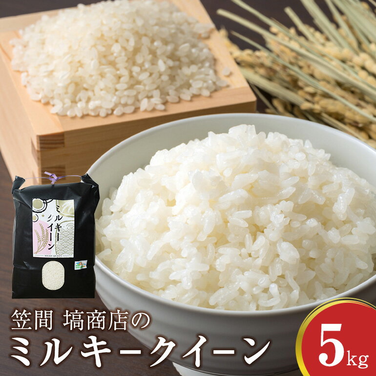 【ふるさと納税】令和7年度産 笠間 塙商店の ミルキークイーン 5kg 米 新米 精米 ブランド米 お米 白米 国産 おにぎり 弁当 R7年産 ごはん おいしい 旨い ふっくら お米 茨城県 笠間市 いばらき