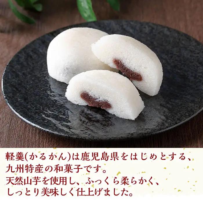 かるかん 饅頭 計10個・2個入×5 鹿児島 種子島 郷土 軽羹 【山田製菓本舗】n307