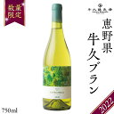 【ふるさと納税】 恵野果 牛久ブラン 2022 750ml×1本 茨城県産 牛久醸造場 日本ワイン ワイン 白ワイン 750ml ミディアムボディ お酒 贈り物 葡萄 ぶどう