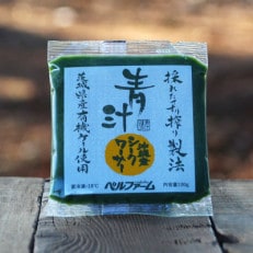 ベルファームの冷凍ミックス青汁 茨城県産ケール使用 100g×30袋 【離島・沖縄配送不可】