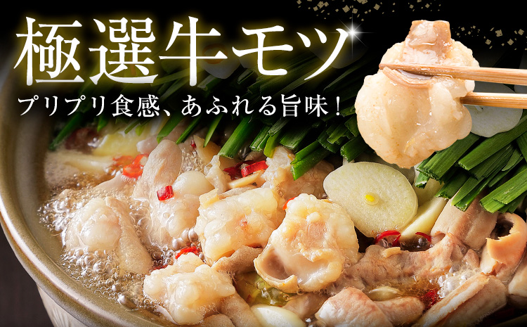 もつ鍋 博多牛もつ鍋 お手軽セット もつ スープ のみ 醤油味 8人前《7-14営業日以内に出荷予定(土日祝除く)》もつ 牛もつ もつ鍋 醤油 しょうゆ 博多 鍋 送料無料 博多 1人前 小分け---