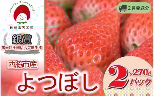 《2026年産先行予約》「西脇市産 佐藤果実工房のよつぼし」（約270g×２パック 約540g）【佐藤果実工房 全国いちご選手権銀賞受賞農園 TVで紹介!】令和８年２月中旬配送分（07-45）