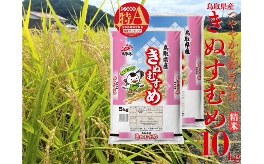 47M.鳥取県産きぬむすめ◇精米10kg◇令和7年産