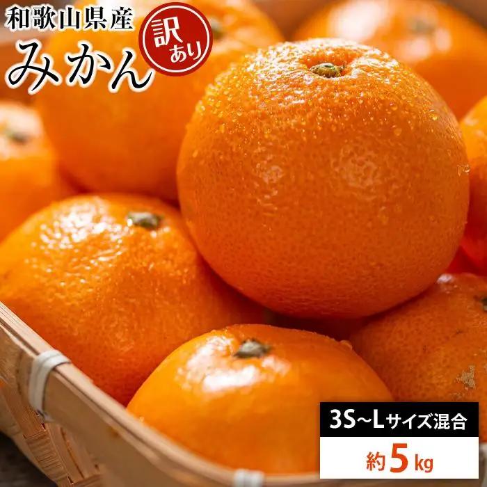 和歌山県産 糖度12.5度 以上 訳ありみかん5kg 3S ～L サイズ混合【MG57】みかん 柑橘 果物 甘い おすすめ 和歌山県 高野町