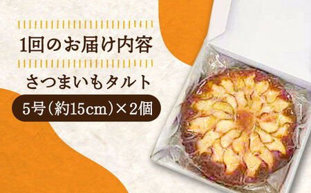 【全12回定期便】濃厚なさつまいもの甘み !  てくてくのさつまいもたると ホール5号× 2個セット 人気 お菓子 スイーツ 美味しい 和菓子 ギフト プレゼント 江田島市/峰商事合同会社[XAD07