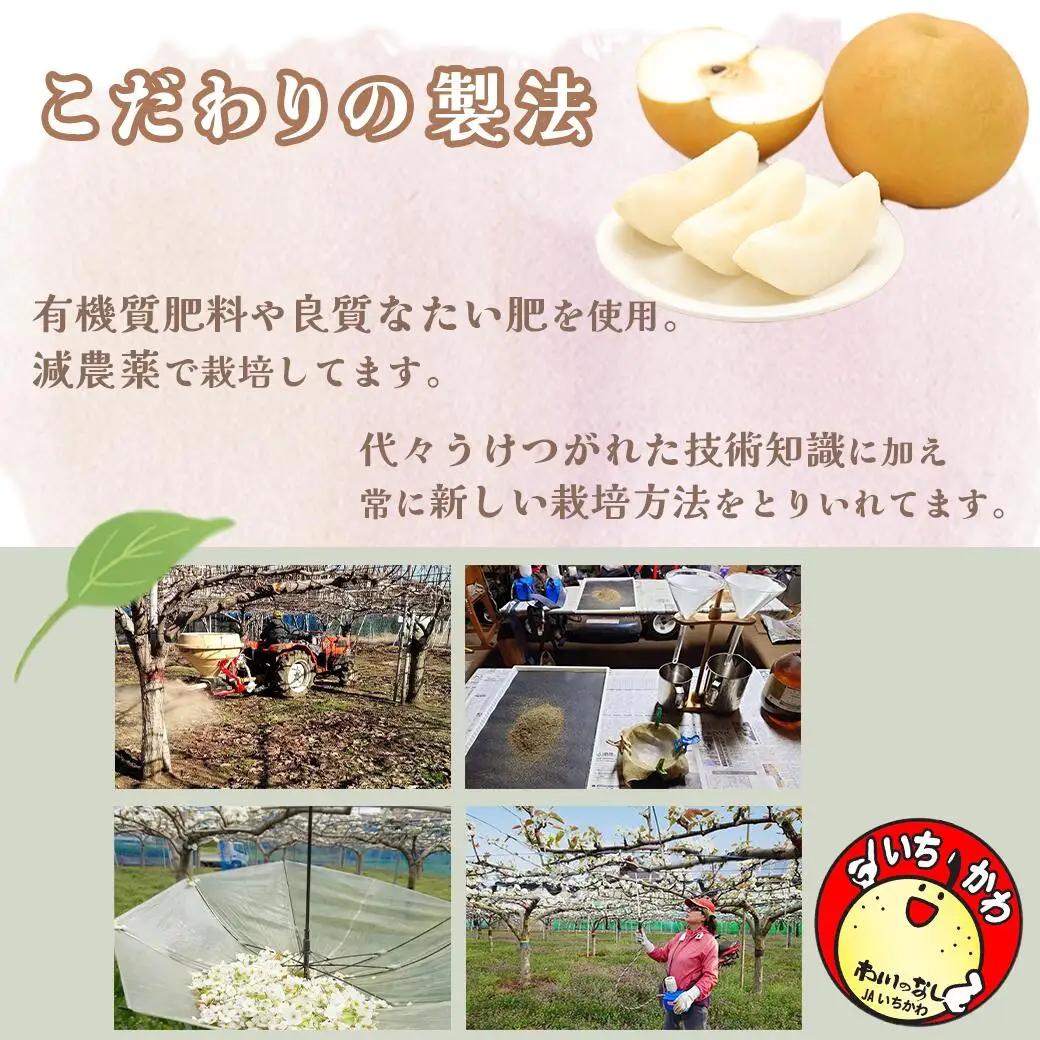 市川の梨　かおり3キロ(４～６個入り） 【12203-0200】