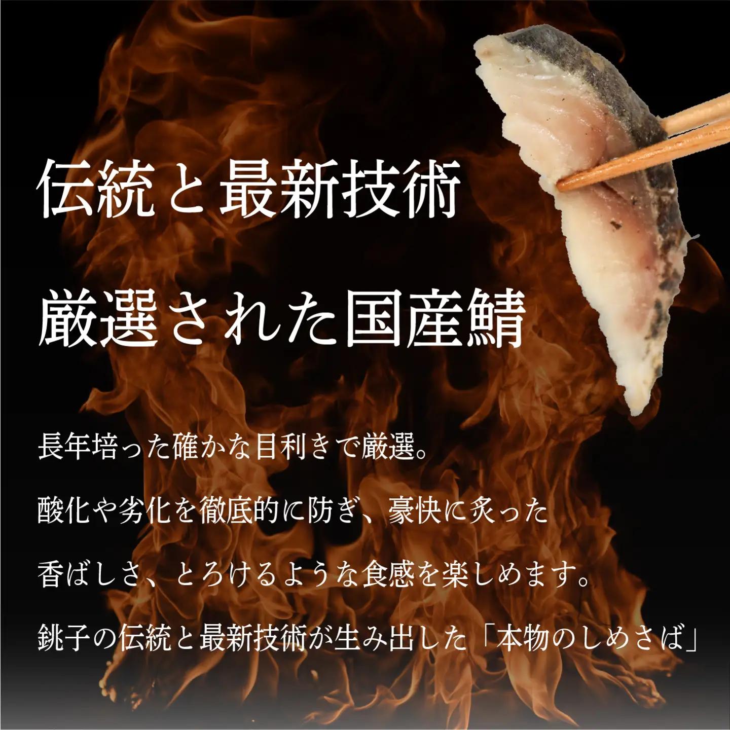 炙り しめさば フィーレ 5枚 鯖 〆さば