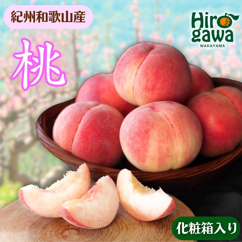 【ふるさと納税】 桃 化粧箱入 / もも 甘い 高級 和歌山 10000円 ※6月下旬～8月中旬に順次発送 ※離島への配送不可 //hokaf