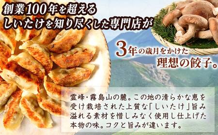 しいたけ屋さんの旨ぎょうざ_AA-M101_(都城市)  ぎょうざ 旨餃子 都城産 しいたけ 豚肉 20個入り×2 椎茸たっぷり 焼き餃子 蒸し餃子 揚げ餃子