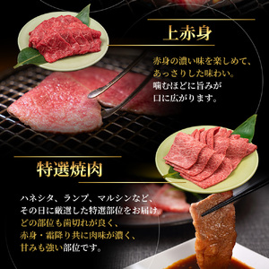 神戸ビーフセット 神戸牛 極上焼肉 3種 食べ比べ 神戸ビーフセット【計900g】【冷凍】