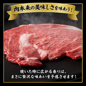 牛肉 宮崎牛 サーロイン ステーキ 400g