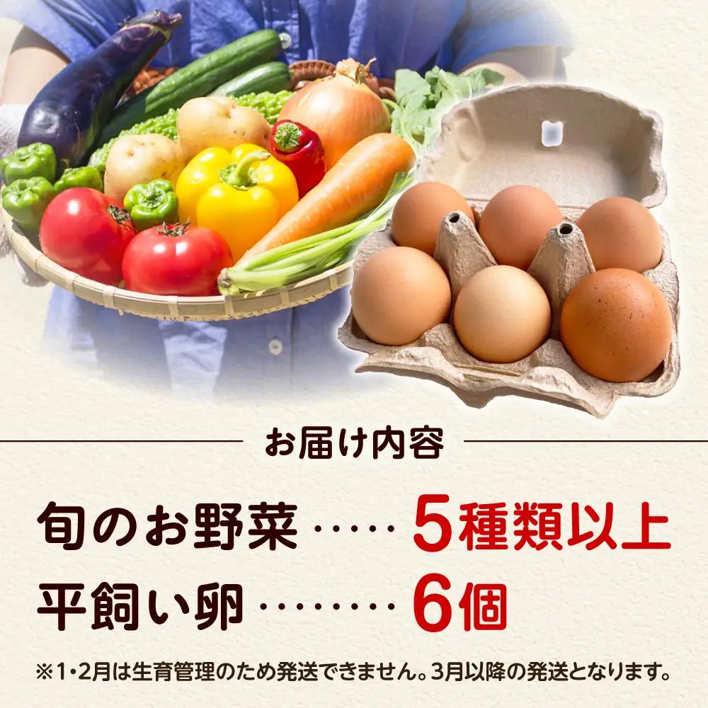 旬のお野菜＆平飼い卵セット ベジ彩ファーム[AOEJ004] 野菜セット