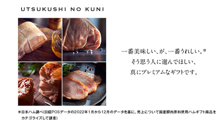 【 お歳暮 熨斗付 】 日本ハム 美ノ国 ギフトセットA 肉 にく 贈答 ギフト 詰め合わせ ハム 生ハム ロース ステーキ [AA073ci]