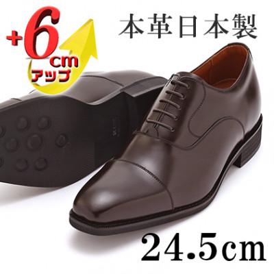 ふるさと納税 大和郡山市 牛革内羽根ストレートチップ 6cmアップシークレットシューズ No.1301 茶 24.5cm