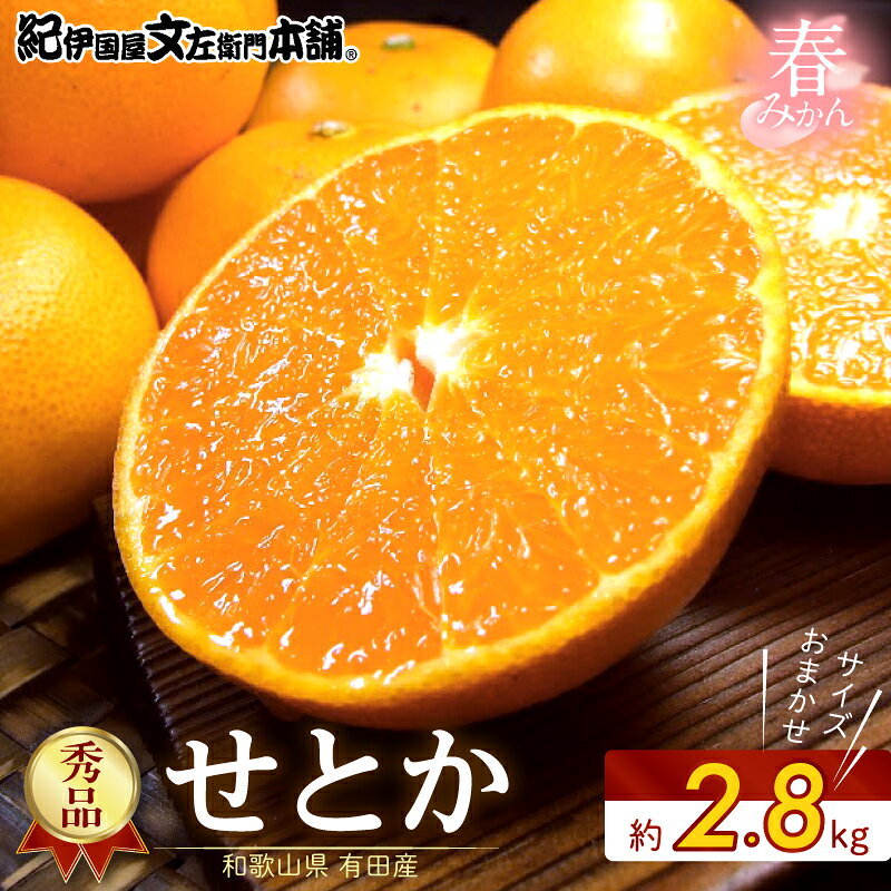 【ふるさと納税】【2027年先行予約】 せとか 秀品 約2.8kg 和歌山県有田産 春みかん 春柑橘 (果実サイズおまかせ) /紀伊国屋文左衛門本舗