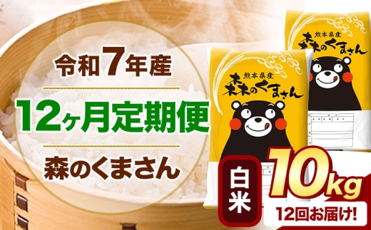 【12ヶ月定期便】 令和7年産 白米  森のくまさん 10kg 5kg×2袋  《お申込み翌月から出荷》 熊本県産 白米 精米 米 こめ コメ お米 kome