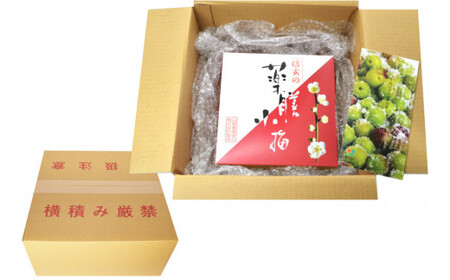 【やわらか】信玄の薬膳小梅干 600g×1  梅干し 国産