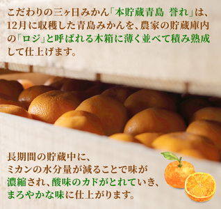【2026年3月上旬頃より順次発送】三ヶ日みかん 誉れ 3.5kg以上 みかん ミカン 蜜柑 誉れみかん 三ヶ日 果物 くだもの フルーツ 旬の果物 旬のフルーツ 柑橘 柑橘類 糖度 静岡 浜松市【配
