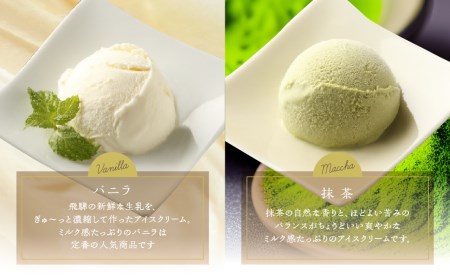 ＜牧成舎＞飛騨のミルクの旨みたっぷりアイスクリーム　１２個セット[Q1312]