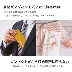 B305(紫苑)　スマートふくさ 袱紗 ポケットティッシュ入れ付き（紫苑）
