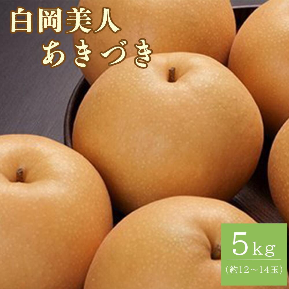 【ふるさと納税】白岡の梨「白岡美人」あきづき梨約5kg（12～14玉）　【11246-0084】 果物 梨 フルーツ 送料無料 白岡市 埼玉県