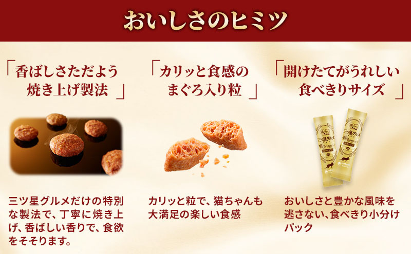 【定期便3回】銀のスプーン三ツ星グルメ 香るお魚仕立て下部尿路の健康維持用 1歳～10歳頃までのお魚レシピ 240g×7箱 3ヶ月連続お届け ペットフード キャットフード 猫のごはん 猫用フード 猫 