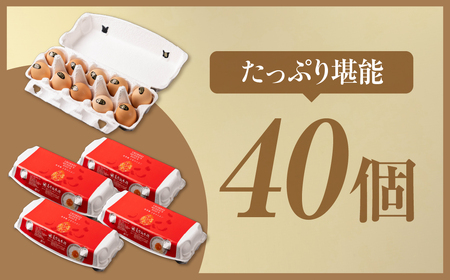 烏骨鶏卵 モールド 40個セット | 烏骨鶏 卵 たまご 烏骨鶏卵