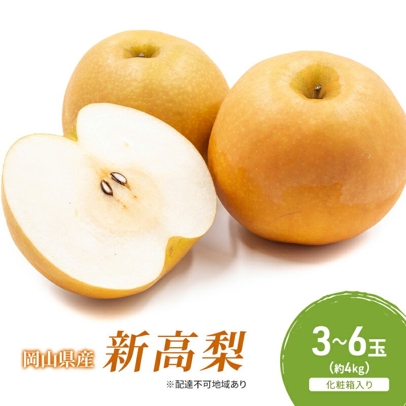 【ふるさと納税】梨 2025年 先行予約 新高梨 3-6玉（約4kg） 化粧箱入り なし ナシ 岡山県産 国産 フルーツ 果物 ギフト 　お届け：2025年9月下旬～2025年11月上旬