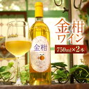 【ふるさと納税】金柑ワイン 2本 AS-175 750ml×2本 計1.5L きんかん キンカン 金柑 ワイン 白ワイン 柑橘系 入来町 朝陽ワイナリー 朝陽小学校 鹿児島県 薩摩川内市 送料無料