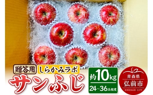 【25年12月～発送】りんご サンふじ 贈答用 約10kg しらかみラボ