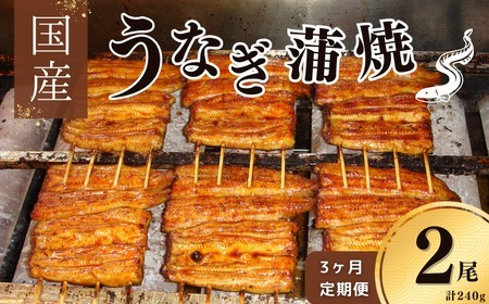 【毎月定期便3回】【安井家】国産鰻蒲焼　約120g×2パック