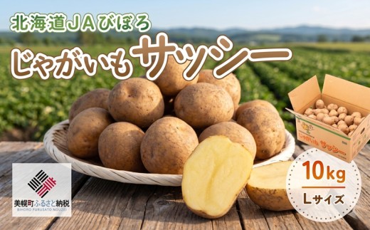 じゃがいも サッシー Lサイズ・10kg ふるさと納税 人気 おすすめ ランキング いも 芋 イモ じゃがいも ジャガイモ サッシー 野菜 根菜 ポテト 北海道 美幌町