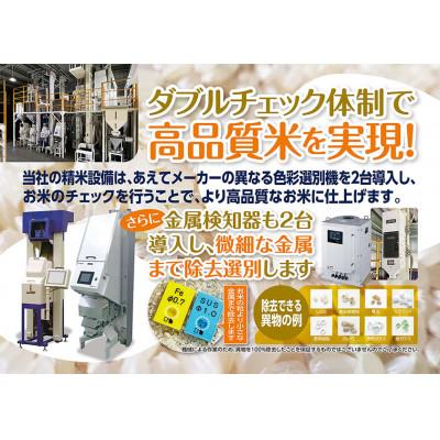 ふるさと納税 須賀川市 令和6年産　福島県須賀川産　ミルキークイーン　白米20kg(5kg×4袋) |  | 01