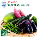 【ふるさと納税】どっさり！新鮮野菜の詰合せ 7～10種類 ピーマン 茄子 なす ナス おまかせ 特産品 野菜 やさい 野菜セット おかず 健康 新鮮 詰め合わせ お楽しみ セット お取り寄せ 通販 冷蔵 配送 国産 食品 食材 ふるさとのうぜい 故郷納税 高知県 返礼品 9000円