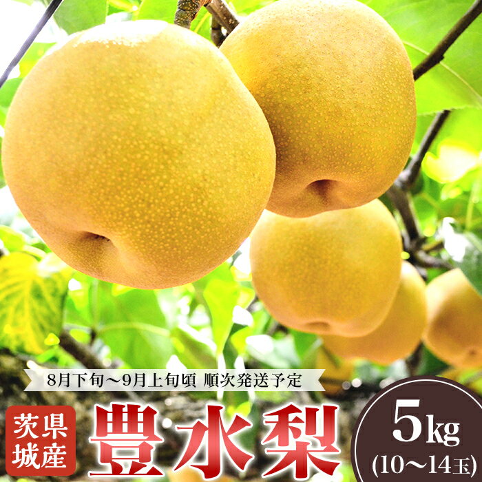 【ふるさと納税】【先行予約】【7月分 数量限定】2025年先行予約 茨城県産「豊水梨」約5kg【2025年8月下旬～9月上旬にかけて発送予定】【梨 なし 豊水 ナシ 果物 フルーツ なし 甘味 茨城県産 くだもの 豊水梨】