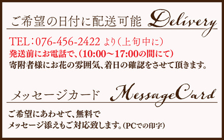 【定期便６回】おまかせ季節のフラワーアレンジ（生花）×６ヶ月  お好み、着日指定可能