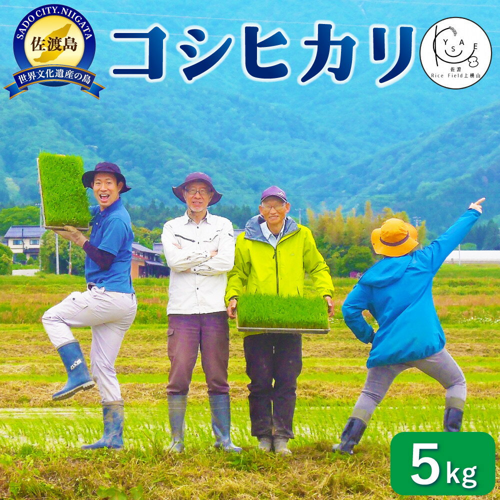 【ふるさと納税】佐渡Rice Field上横山の光【コシヒカリ】令和7年度産　5kg | お米 こめ 白米 食品 人気 おすすめ 送料無料