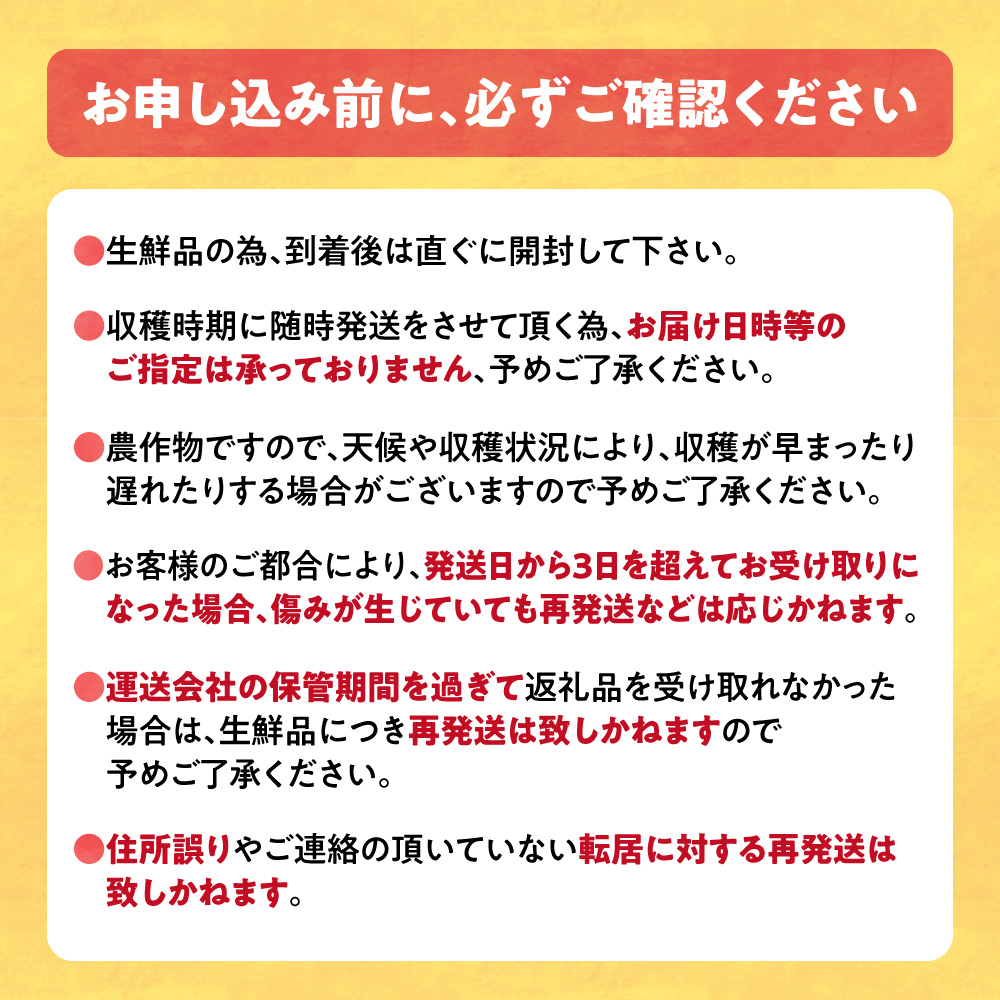 石田ファーム とうもろこし詰め合わせ10本セット（数量限定）