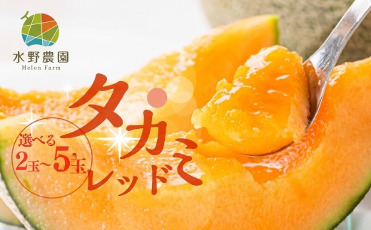 【先行予約】2027年6月発送　水野農園産タカミレッド　２玉