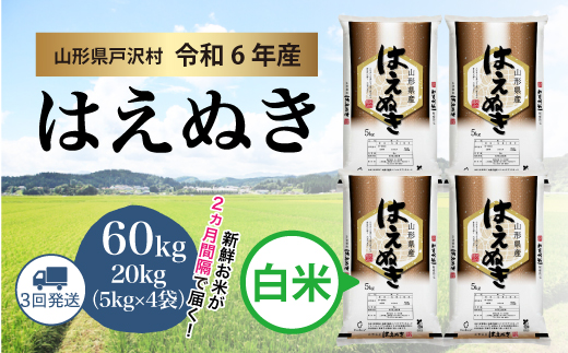 ＜令和6年産米受付　配送時期指定可＞　はえぬき【白米】60kg定期便(20kg×3回)　戸沢村