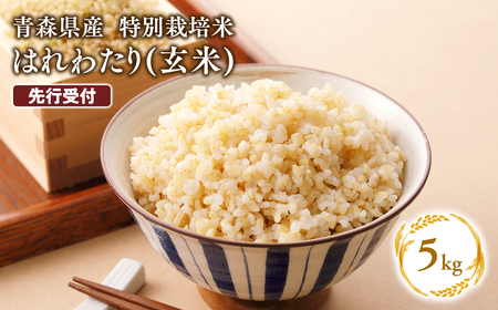 ≪令和8年産 先行予約≫1月上旬よりお届け! 　特別栽培米 はれわたり玄米5kg【青森県 平川市】先行予約 米 お米 玄米 青森県産 産地直送 おにぎり 朝ご飯 冷めてもおいしい ご飯  コメ こめ 白米 ごはん ブランド米 特A 特A米 お取り寄せ グルメ