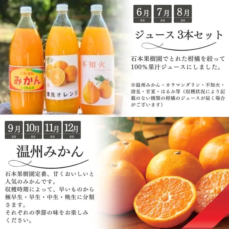 【1～12月】柑橘 定期便 石本果樹園【全12回】【tkb507】