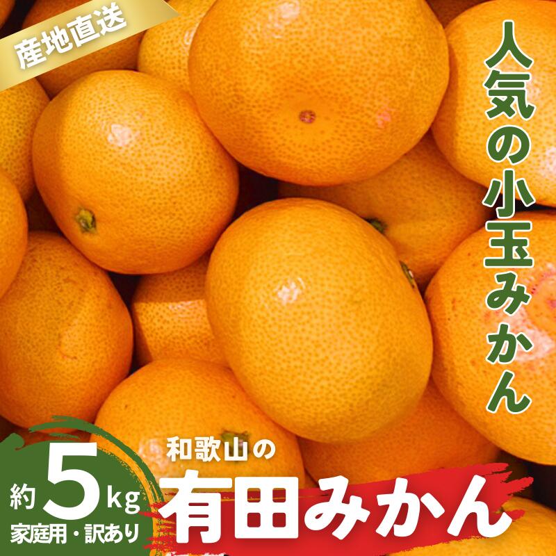 【ふるさと納税】家庭用 有田みかん 和歌山 訳あり 小玉(2S,3Sサイズ混合) 5kg【9月下旬～1月下旬頃に順次発送】/ みかん フルーツ 果物 くだもの 有田みかん 蜜柑 柑橘　わけあり