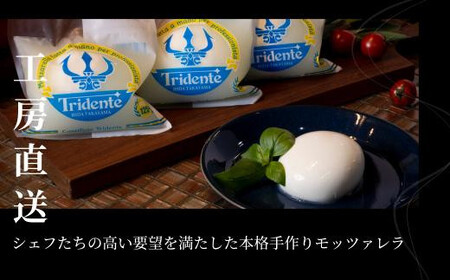 飛騨生乳100％ モッツァレラチーズ5個 セット | セット チーズ 冷蔵 濃厚 低温殺菌 乳製品 おいしい 人気 チーズ工房トリデンテ LF019