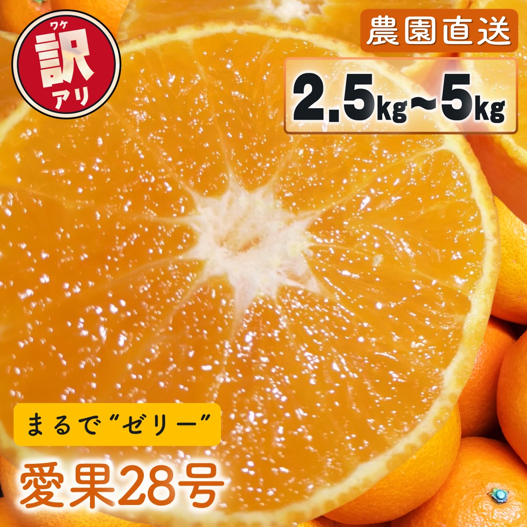 【ふるさと納税】 【先行予約】 愛果28号 (紅まどんな と同品種) 訳あり 家庭用 2.5kg / 5kg 光センサー選別 【2026年11月下旬頃から順次発送】 | 訳あり 不揃い 柑橘 果物 フルーツ あいか みかん 松山市 愛媛県 MOTTAINAI COCOLOFARM MCF