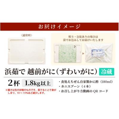 ふるさと納税 越前町 ≪浜茹で≫ 越前がに 特大 2杯 かに酢 食べ方QRコード付き【3月より発送】 |  | 03