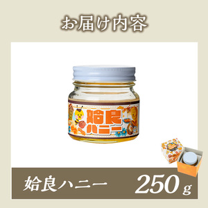 a1002-A 《期間限定！》姶良ハニー(250g)【原電設工業】姶良市 国産 ハチミツ はちみつ 蜂蜜 百花蜜 蜜 常温 常温保存